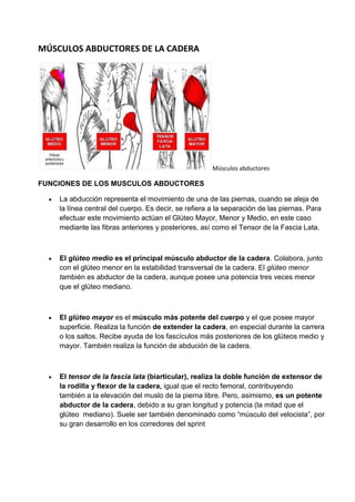 MÚSCULOS ABDUCTORES DE LA CADERA
Músculos abductores
FUNCIONES DE LOS MUSCULOS ABDUCTORES
La abducción representa el movimiento de una de las piernas, cuando se aleja de
la línea central del cuerpo. Es decir, se refiera a la separación de las piernas. Para
efectuar este movimiento actúan el Glúteo Mayor, Menor y Medio, en este caso
mediante las fibras anteriores y posteriores, así como el Tensor de la Fascia Lata.
El glúteo medio es el principal músculo abductor de la cadera. Colabora, junto
con el glúteo menor en la estabilidad transversal de la cadera. El glúteo menor
también es abductor de la cadera, aunque posee una potencia tres veces menor
que el glúteo mediano.
El glúteo mayor es el músculo más potente del cuerpo y el que posee mayor
superficie. Realiza la función de extender la cadera, en especial durante la carrera
o los saltos. Recibe ayuda de los fascículos más posteriores de los glúteos medio y
mayor. También realiza la función de abdución de la cadera.
El tensor de la fascia lata (biarticular), realiza la doble función de extensor de
la rodilla y flexor de la cadera, igual que el recto femoral, contribuyendo
también a la elevación del muslo de la pierna libre. Pero, asimismo, es un potente
abductor de la cadera, debido a su gran longitud y potencia (la mitad que el
glúteo mediano). Suele ser también denominado como “músculo del velocista”, por
su gran desarrollo en los corredores del sprint
 