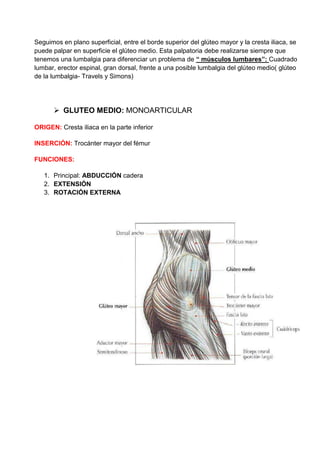 Seguimos en plano superficial, entre el borde superior del glúteo mayor y la cresta iliaca, se
puede palpar en superficie el glúteo medio. Esta palpatoria debe realizarse siempre que
tenemos una lumbalgia para diferenciar un problema de “ músculos lumbares”: Cuadrado
lumbar, erector espinal, gran dorsal, frente a una posible lumbalgia del glúteo medio( glúteo
de la lumbalgia- Travels y Simons)
 GLUTEO MEDIO: MONOARTICULAR
ORIGEN: Cresta iliaca en la parte inferior
INSERCIÓN: Trocánter mayor del fémur
FUNCIONES:
1. Principal: ABDUCCIÓN cadera
2. EXTENSIÓN
3. ROTACIÓN EXTERNA
 
