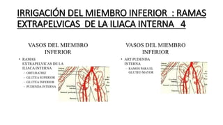 IRRIGACIÓN DEL MIEMBRO INFERIOR : RAMAS
EXTRAPELVICAS DE LA ILIACA INTERNA 4
 