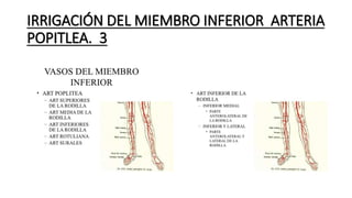 IRRIGACIÓN DEL MIEMBRO INFERIOR ARTERIA
POPITLEA. 3
 