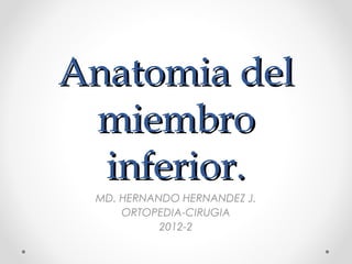 Anatomia del
 miembro
  inferior.
 MD. HERNANDO HERNANDEZ J.
     ORTOPEDIA-CIRUGIA
           2012-2
 
