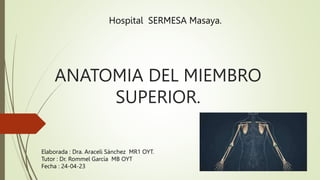 ANATOMIA DEL MIEMBRO
SUPERIOR.
Elaborada : Dra. Araceli Sánchez MR1 OYT.
Tutor : Dr. Rommel García MB OYT
Fecha : 24-04-23
Hospital SERMESA Masaya.
 