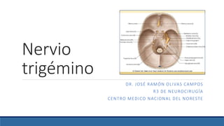 Nervio
trigémino
DR. JOSÉ RAMÓN OLIVAS CAMPOS
R3 DE NEUROCIRUGÍA
CENTRO MEDICO NACIONAL DEL NORESTE
 