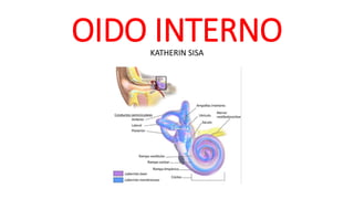 OIDO INTERNOKATHERIN SISA
 