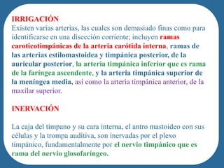 IRRIGACIÓN
Existen varias arterias, las cuales son demasiado finas como para
identificarse en una disección corriente; incluyen ramas
caroticotimpánicas de la arteria carótida interna, ramas de
las arterias estilomastoidea y timpánica posterior, de la
auricular posterior, la arteria timpánica inferior que es rama
de la faríngea ascendente, y la arteria timpánica superior de
la meníngea media, así como la arteria timpánica anterior, de la
maxilar superior.

INERVACIÓN

La caja del tímpano y su cara interna, el antro mastoideo con sus
células y la trompa auditiva, son inervadas por el plexo
timpánico, fundamentalmente por el nervio timpánico que es
rama del nervio glosofaríngeo.
 