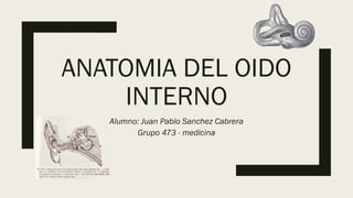 ANATOMIA DEL OIDO
INTERNO
Alumno: Juan Pablo Sanchez Cabrera
Grupo 473 - medicina
 