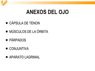 ANEXOS DEL OJO CÁPSULA DE TENON MÚSCULOS DE LA ÓRBITA PÁRPADOS CONJUNTIVA APARATO LAGRIMAL 