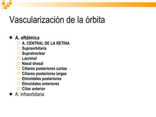 Vascularización de la órbita A. oftálmica A. CENTRAL DE LA RETINA Supraorbitaria Supratroclear Lacrimal Nasal drosal Ciliares posteriores cortas Ciliares posteriores largas Etmoidales posteriores Etmoidales anteriores Ciliar anterior A. infraorbitaria 