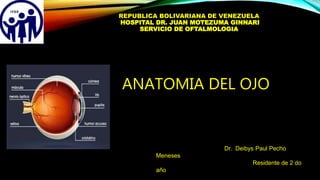 REPUBLICA BOLIVARIANA DE VENEZUELA
HOSPITAL DR. JUAN MOTEZUMA GINNARI
SERVICIO DE OFTALMOLOGIA
ANATOMIA DEL OJO
Dr. Deibys Paul Pecho
Meneses
Residente de 2 do
año
 
