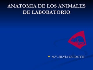 ANATOMIA DE LOS ANIMALES
    DE LABORATORIO




               M.V. SILVIA GUIDOTTI
 