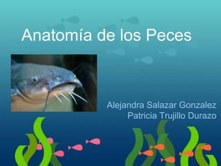 Anatomía de los Peces
Alejandra Salazar Gonzalez
Patricia Trujillo Durazo
 