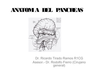 ANATOMIA DEL PANCREAS
Dr. Ricardo Tirado Ramos R1CG
Asesor.- Dr. Rodolfo Fierro (Cirujano
general)
 