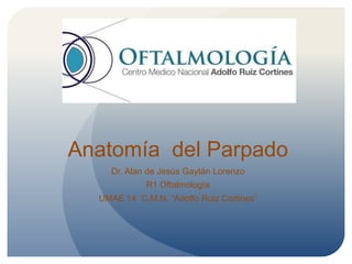 Anatomía del Parpado
Dr. Alan de Jesús Gaytán Lorenzo
R1 Oftalmología
UMAE 14 C.M.N. “Adolfo Ruiz Cortines”
 