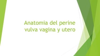 Anatomia del perine
vulva vagina y utero
 