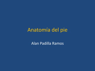 Anatomía del pie

 Alan Padilla Ramos
 