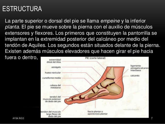 El centro del tratamiento de la enfermedad de la columna vertebral y las articulaciones