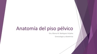 Anatomía del piso pélvico
Dra. Blanca N. Rodríguez Grijalva
Ginecología y obstetricia
 