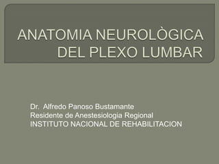 ANATOMIA NEUROLÒGICA DEL PLEXO LUMBAR Dr.  Alfredo Panoso Bustamante Residente de Anestesiologia Regional INSTITUTO NACIONAL DE REHABILITACION 