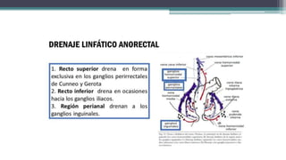 ANATOMIA DEL RECTO val.pptx