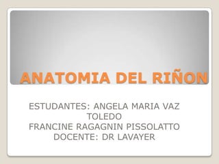 ANATOMIA DEL RIÑON
ESTUDANTES: ANGELA MARIA VAZ
           TOLEDO
FRANCINE RAGAGNIN PISSOLATTO
    DOCENTE: DR LAVAYER
 