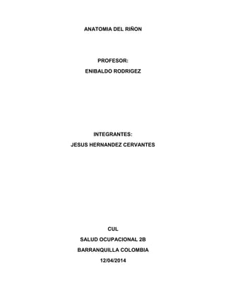 ANATOMIA DEL RIÑON
PROFESOR:
ENIBALDO RODRIGEZ
INTEGRANTES:
JESUS HERNANDEZ CERVANTES
CUL
SALUD OCUPACIONAL 2B
BARRANQUILLA COLOMBIA
12/04/2014
 