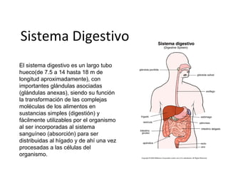 Sistema Digestivo
El sistema digestivo es un largo tubo
hueco(de 7.5 a 14 hasta 18 m de
longitud aproximadamente), con
importantes glándulas asociadas
(glándulas anexas), siendo su función
la transformación de las complejas
moléculas de los alimentos en
sustancias simples (digestión) y
fácilmente utilizables por el organismo
al ser incorporadas al sistema
sanguíneo (absorción) para ser
distribuidas al hígado y de ahí una vez
procesadas a las células del
organismo.
 