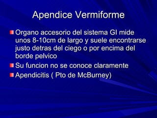 Apendice Vermiforme Organo accesorio del sistema GI mide unos 8-10cm de largo y suele encontrarse justo detras del ciego o por encima del borde pelvico Su funcion no se conoce claramente Apendicitis ( Pto de McBurney) 