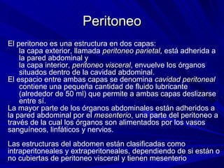 Peritoneo El peritoneo es una estructura en dos capas:  la capa exterior, llamada  peritoneo parietal , está adherida a la pared abdominal y  la capa interior,  peritoneo visceral , envuelve los órganos situados dentro de la cavidad abdominal. El espacio entre ambas capas se denomina  cavidad peritoneal contiene una pequeña cantidad de fluido lubricante (alrededor de 50 ml) que permite a ambas capas deslizarse entre sí. La mayor parte de los órganos abdominales están adheridos a la pared abdominal por el  mesenterio , una parte del peritoneo a través de la cual los órganos son alimentados por los vasos sanguíneos, linfáticos y nervios. Las estructuras del abdomen están clasificadas como intraperitoneales y extraperitoneales, dependiendo de si están o no cubiertas de peritoneo visceral y tienen mesenterio 