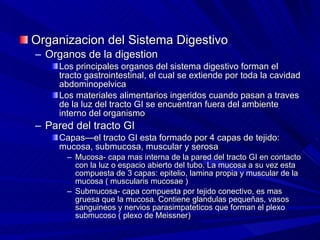 Organizacion del Sistema Digestivo  Organos de la digestion Los principales organos del sistema digestivo forman el tracto gastrointestinal, el cual se extiende por toda la cavidad abdominopelvica Los materiales alimentarios ingeridos cuando pasan a traves de la luz del tracto GI se encuentran fuera del ambiente interno del organismo Pared del tracto GI Capas—el tracto GI esta formado por 4 capas de tejido: mucosa, submucosa, muscular y serosa Mucosa- capa mas interna de la pared del tracto GI en contacto con la luz o espacio abierto del tubo. La mucosa a su vez esta compuesta de 3 capas: epitelio, lamina propia y muscular de la mucosa ( muscularis mucosae ) Submucosa- capa compuesta por tejido conectivo, es mas gruesa que la mucosa. Contiene glandulas pequeñas, vasos sanguineos y nervios parasimpateticos que forman el plexo submucoso ( plexo de Meissner) 
