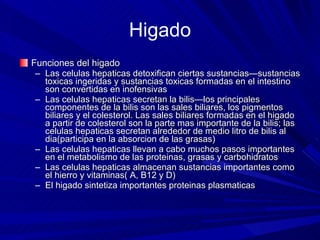 Higado Funciones del higado Las celulas hepaticas detoxifican ciertas sustancias—sustancias toxicas ingeridas y sustancias toxicas formadas en el intestino son convertidas en inofensivas Las celulas hepaticas secretan la bilis—los principales componentes de la bilis son las sales biliares, los pigmentos biliares y el colesterol. Las sales biliares formadas en el higado a partir de colesterol son la parte mas importante de la bilis; las celulas hepaticas secretan alrededor de medio litro de bilis al dia(participa en la absorcion de las grasas) Las celulas hepaticas llevan a cabo muchos pasos importantes en el metabolismo de las proteinas, grasas y carbohidratos Las celulas hepaticas almacenan sustancias importantes como el hierro y vitaminas( A, B12 y D) El higado sintetiza importantes proteinas plasmaticas 