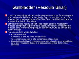 Gallbladder (Vesicula Biliar) Localizacion y dimensiones de la vesicula—saco en forma de pera que mide entre 7-10cm de longitud y 3cm de amplitud en su pto mas ancho; puede contener entre 30 a 50 ml de bilis;localizada en la superficie inferior hepatica  Estructura de la vesicula biliar—las capas serosa, muscular y mucosa componen la pared de la vesicula biliar; el revestimiento mucoso esta formado por pliegues cuya estructura es similar a la del estomago Funciones de la vesicula biliar: Almacena la bilis Concentra la bilis de cinco a diez veces Al contraerse expulsa la bilis concentrada al duodeno  Colecistitis(colelitiasis), colecistectomia,ictericia-coloracion amarillenta de la piel y mucosas debido a la obstruccion del flujo de la bilis al duodeno 