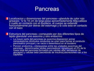 Pancreas Localizacion y dimensiones del pancreas—glandula de color rojo grisaceo; 12 to 15 cm de largo;pesa aproximadamente 60g;cabeza y cuello en contacto con el duodeno, el cuerpo se extiende horizontalmente por detras del estomago y la cola esta en contacto con el bazo  Estructura del pancreas—compuesto por dos diferentes tipos de tejido glandular uno exocrino y otro endocrino La mayor parte del pancreas es exocrina;disposicion acinar compuesta;los diminutos conductos se unen para formar el conducto pancreatico principal y se vacia o desemboca en el duodeno Porcion endocrina—interpuestas entre las unidades exocrinas del pancreas ; denominadas islotes pancreaticos; constituyen el 2% de la masa total del pancreas;formados por celulas alfa( secretoras de glucagon) y celulas beta (secretoras de insulina);secreciones van a los capilares  