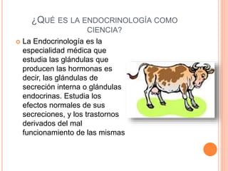 ¿QUÉ ES LA ENDOCRINOLOGÍA COMO
CIENCIA?
 La Endocrinología es la
especialidad médica que
estudia las glándulas que
producen las hormonas es
decir, las glándulas de
secreción interna o glándulas
endocrinas. Estudia los
efectos normales de sus
secreciones, y los trastornos
derivados del mal
funcionamiento de las mismas
 