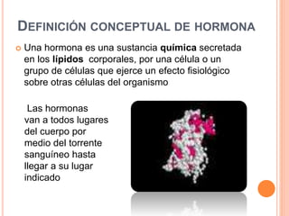 DEFINICIÓN CONCEPTUAL DE HORMONA
 Una hormona es una sustancia química secretada
en los lípidos corporales, por una célula o un
grupo de células que ejerce un efecto fisiológico
sobre otras células del organismo
Las hormonas
van a todos lugares
del cuerpo por
medio del torrente
sanguíneo hasta
llegar a su lugar
indicado
 
