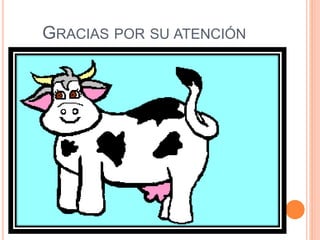 GRACIAS POR SU ATENCIÓN
 