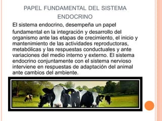 PAPEL FUNDAMENTAL DEL SISTEMA
ENDOCRINO
El sistema endocrino, desempeña un papel
fundamental en la integración y desarrollo del
organismo ante las etapas de crecimiento, el inicio y
mantenimiento de las actividades reproductoras,
metabólicas y las respuestas conductuales y ante
variaciones del medio interno y externo. El sistema
endocrino conjuntamente con el sistema nervioso
interviene en respuestas de adaptación del animal
ante cambios del ambiente.
 