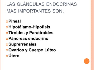 LAS GLÁNDULAS ENDOCRINAS
MAS IMPORTANTES SON:
Pineal
Hipotálamo-Hipofisis
Tiroides y Paratiroides
Páncreas endocrino
Suprerrenales
Ovarios y Cuerpo Lúteo
Útero
 