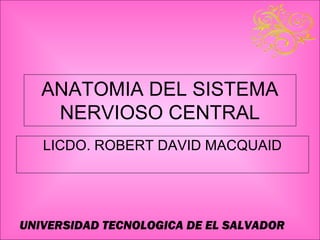UNIVERSIDAD TECNOLOGICA DE EL SALVADOR
ANATOMIA DEL SISTEMA
NERVIOSO CENTRAL
LICDO. ROBERT DAVID MACQUAID
 