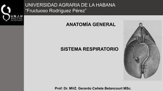 UNIVERSIDAD AGRARIA DE LA HABANA
“Fructuoso Rodríguez Pérez”
SISTEMA RESPIRATORIO
Prof: Dr. MVZ. Gerardo Cañete Betancourt MSc.
ANATOMÍA GENERAL
 