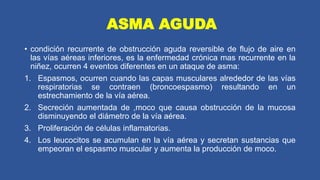 Capa Recurrente anatomia del sistema respiratorio.pptx