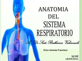 ANATOMIA
         DEL



A. Dr.Sixto Radhames Valenzuela
          Erica Jimenez Francisco


                                    UCNE
                              18/09/2012
 