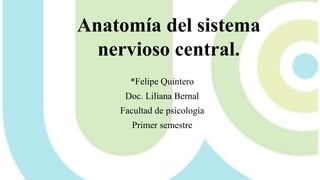Anatomía del sistema
nervioso central.
*Felipe Quintero
Doc. Liliana Bernal
Facultad de psicología
Primer semestre
 