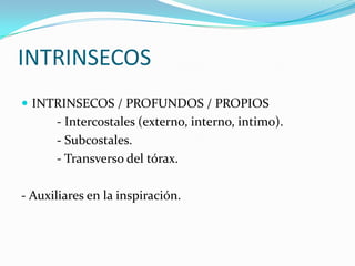 INTRINSECOS
 INTRINSECOS / PROFUNDOS / PROPIOS
      - Intercostales (externo, interno, intimo).
      - Subcostales.
      - Transverso del tórax.

- Auxiliares en la inspiración.
 