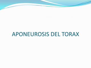 APONEUROSIS DEL TORAX
 