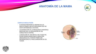 ANATOMÍA DE LA MAMA
COMPLEJO AREOLA-PEZÓN
• SE INTENTA PRESERVAR AL MÁXIMO EN LAS
MASTECTOMÍAS UNA VEZ ASEGURADO QUE NO
EXISTE ENFERMEDAD A ESE NIVEL
• LA DISTRIBUCIÓN DE LA IRRIGACIÓN ES PERIFÉRICA
MIENTRAS QUE LA LOCALIZACIÓN DE LOS
CONDUCTOS ES CENTRAL
• LA RESECCIÓN DE UNA PASTILLA DEL TEJIDO DEL
PEZÓN PODRÍA GARANTIZAR LA RESECCIÓN
ONCOLÓGICA DE LA MASTECTOMÍA CON
PRESERVACIÓN DE LA VASCULARIZACIÓN DE LOS
TEJIDOS
 