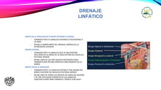 DRENAJE
LINFÁTICO
GRUPO DE LA VENA AXILAR O GRUPO EXTERNO O LATERAL
• FORMADO POR 4-6 GANGLIOS INTERNOS O POSTERIORES A
LA VENA
• RECIBE LA MAYOR PARTE DEL DRENAJE LINFÁTICO DE LA
EXTREMIDAD SUPERIOR
GRUPO CENTRAL
• FORMADO POR 3-4 GANGLIOS QUE SE ENCUENTRAN
INCLUIDOS EN LA GRASA DE LA AXILA DETRÁS DEL MÚSCULO
PECTORAL MENOR
• RECIBE LINFA DE LOS TRES GRUPOS ANTERIORES PERO
TAMBIÉN PUEDE RECIBIR LINFÁTICOS DIRECTAMENTE DE LA
MAMA
GRUPO APICAL O SUBCLAVIO
• FORMADO POR 6-12 GANGLIOS DETRÁS Y POR ENCIMA DEL
BORDE SUPERIOR DEL MÚSCULO PECTORAL MENOR
• RECIBE LINFA DE TODOS LOS GRUPOS DE GANGLIOS AXILARES
Y SE UNE CON VASOS EFERENTES DE LOS GANGLIOS
SUBCLAVICULARES PARA FORMAR EL TRONCO SUBCLAVIO
 