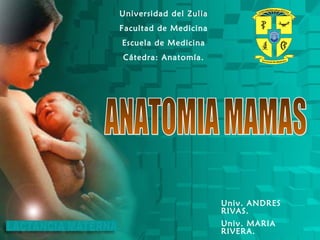 Universidad del Zulia
Facultad de Medicina
Escuela de Medicina
Cátedra: Anatomía.
Univ. ANDRES
RIVAS.
Univ. MARIA
RIVERA.
 