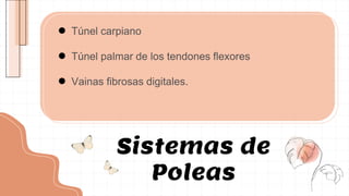 Sistemas de
Poleas
● Túnel carpiano
● Túnel palmar de los tendones flexores
● Vainas fibrosas digitales.
 
