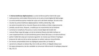 • 3. Vainas tendinosas digitocarpianas. La vaina tendinosa palmar lateral del carpo
• suele presentar continuidad inferiormente con la vaina sinovial digital del dedo pulgar
• y la vaina tendinosa palmar medial del carpo con la del dedo meñique. De esta unión
• resultan las vainas tendinosas digitocarpianas medial y lateral (fig. 110).
• Las vainas sinoviales de los músculos flexores de los dedos se hallan originariamente
• aisladas unas de otras. Después, a medida que los movimientos de los tendones
• aumentan en amplitud y frecuencia, la vaina sinovial digital del tendón del
• músculo flexor largo del pulgar y la de los tendones flexores del dedo meñique se
• unen respectivamente a la vaina tendinosa palmar lateral del carpo y a la vaina tendinosa
• palmar medial del carpo por el proceso siguiente: los recesos que limitan el repliegue
• prepucial de cada una de las vainas opuestas se vuelven cada vez más profundos;
• los recesos comprendidos entre los repliegues prepuciales y el tendón se
• aproximan y después se adosan (fig. 112, A y B); por último, el delgado tabique que
• los separa desaparece y las dos cavidades se comunican inferiormente al repliegue prepucial
• (fig. 112, C)
 