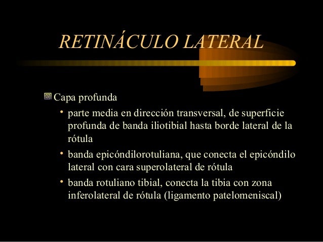 Anatomia de mecanismo extensor de la rodilla